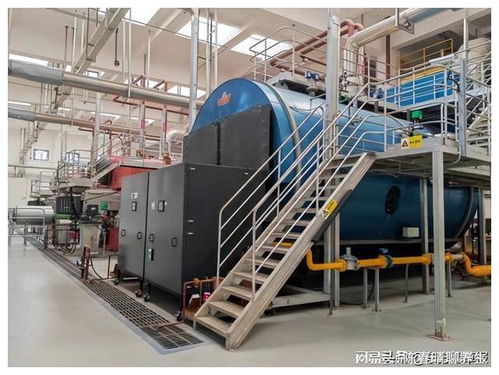 雙碳引領(lǐng)，節(jié)能增效 郴州卷煙廠擘畫綠色發(fā)展新藍(lán)圖